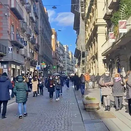 Vivace Nápoles